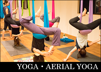 YOGA（ヨガ）・AERIAL YOGA